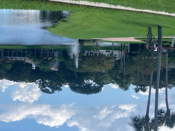 La maison de Nick and Amy