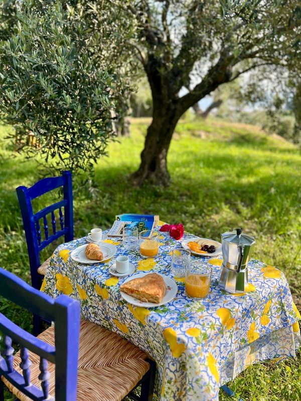 The Olive Grove