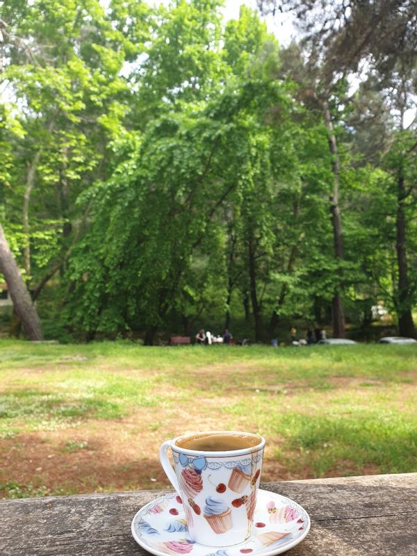 La maison de aylyan alyaydinov