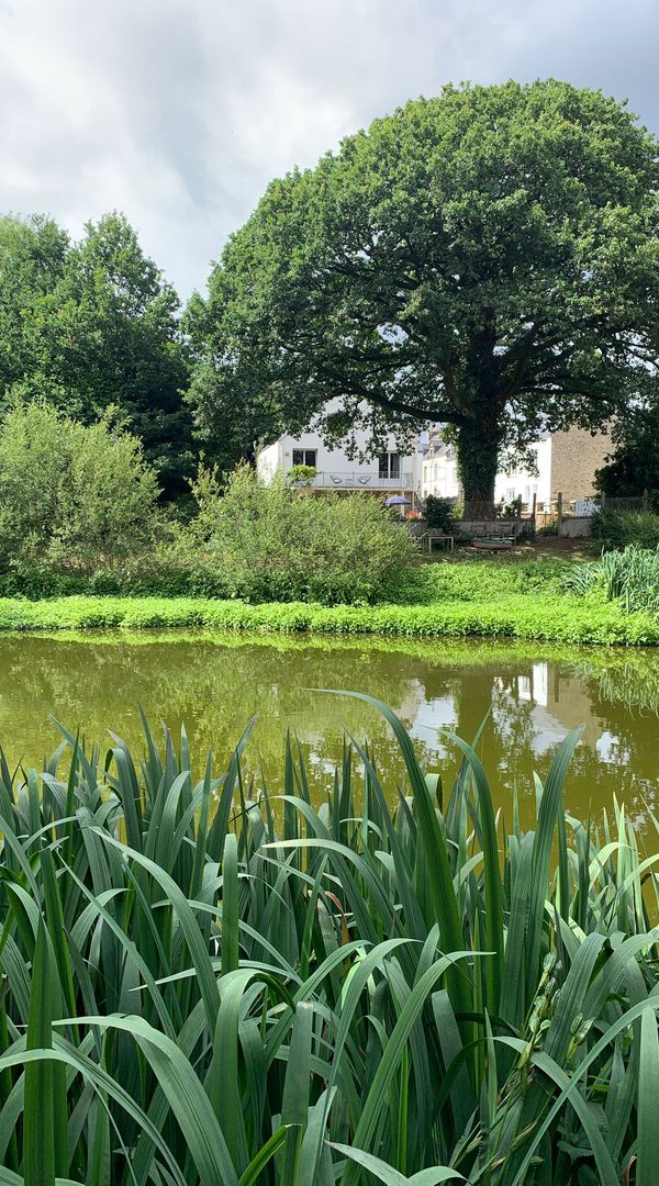 La maison de l etang