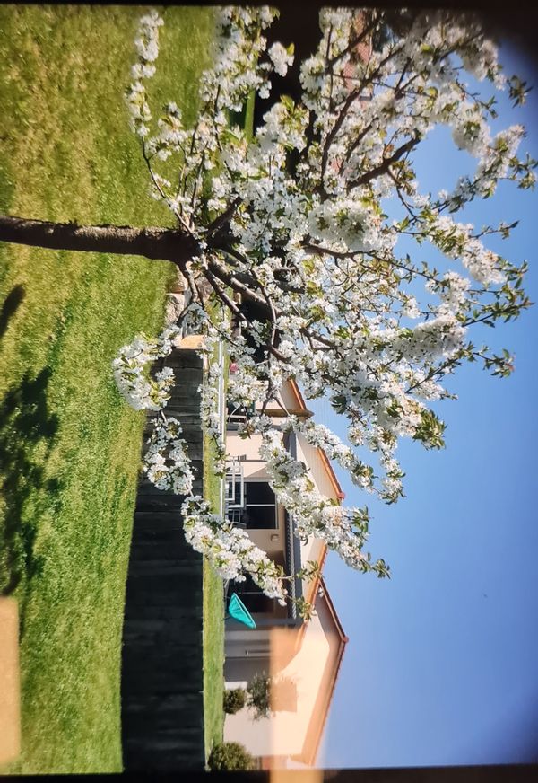 La maison de Nathalie