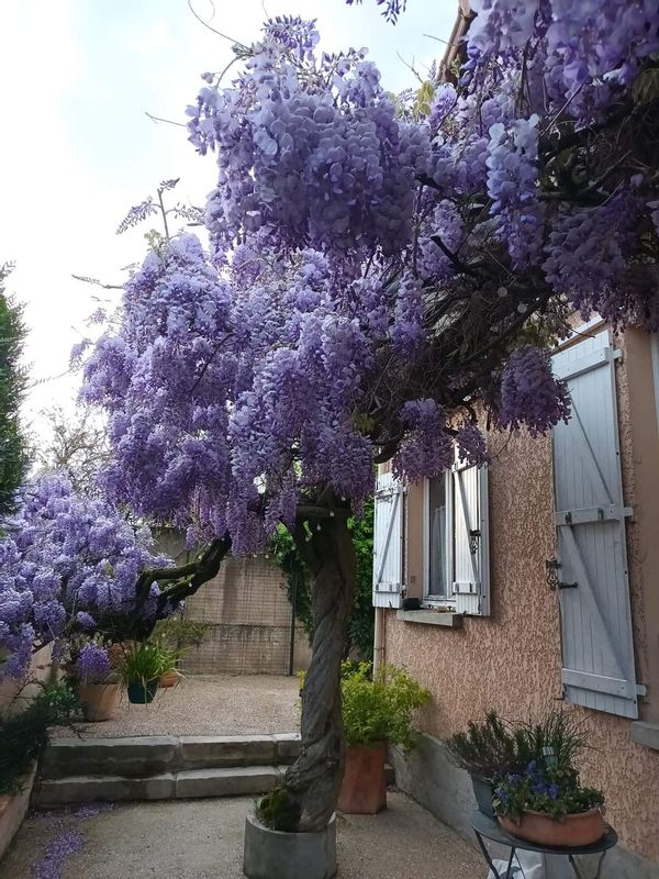 La maison de Myriam et Nicolas