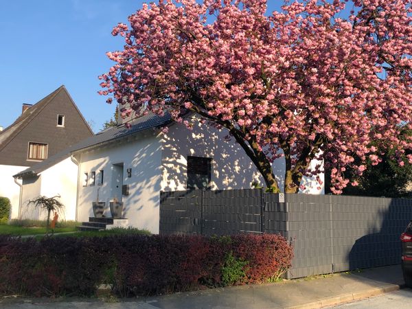 Dorothy's house
