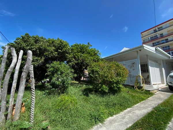 Sophie's house