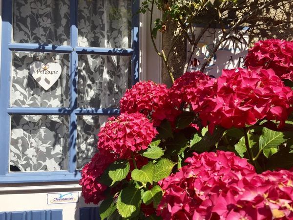 Emeline et Pierres hus
