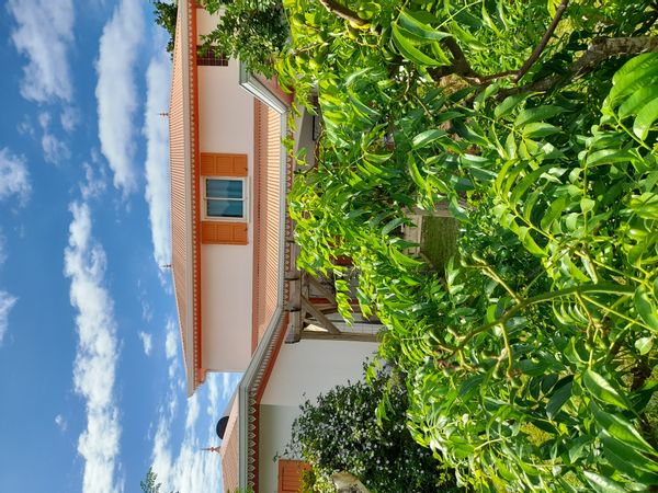 Charmante maison créole au coeur d'un petit jardin tropical