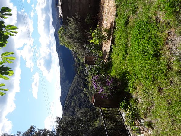 La maison en Cévennes