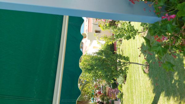 Salma's house
