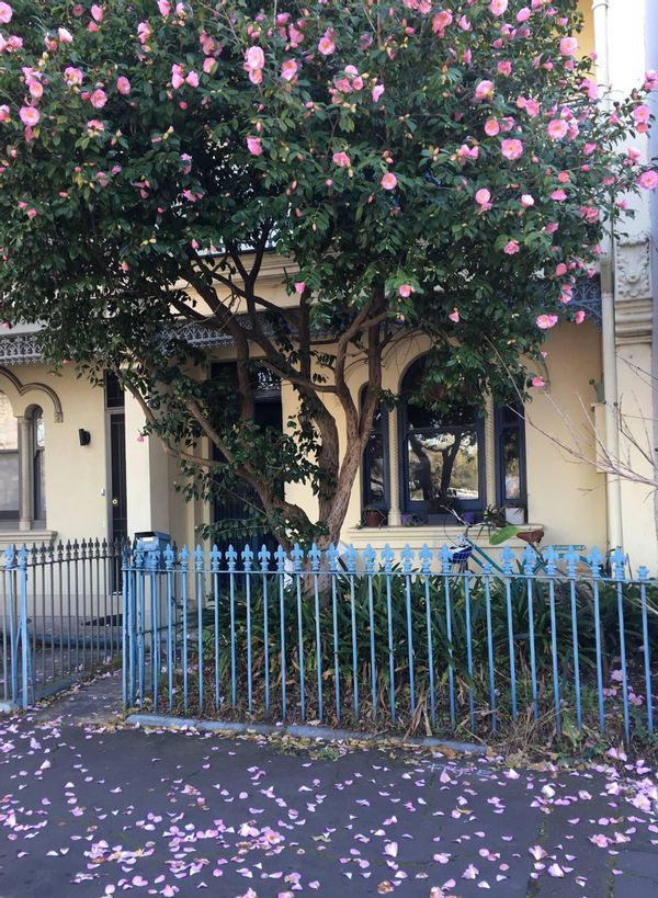 La maison de Frederique and Mark