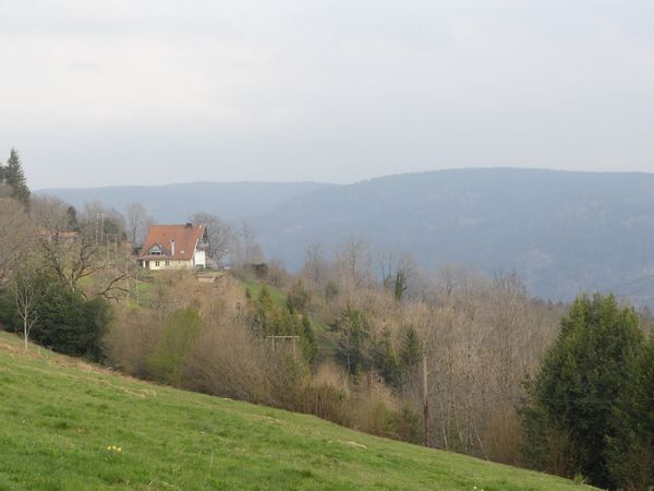 Le logement " Les Jonquilles "