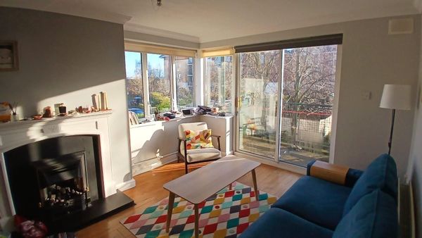 Dublin apartment with cat