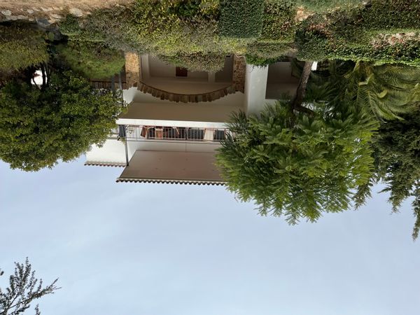 Elena's house