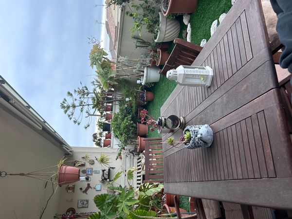 Miguel's house
