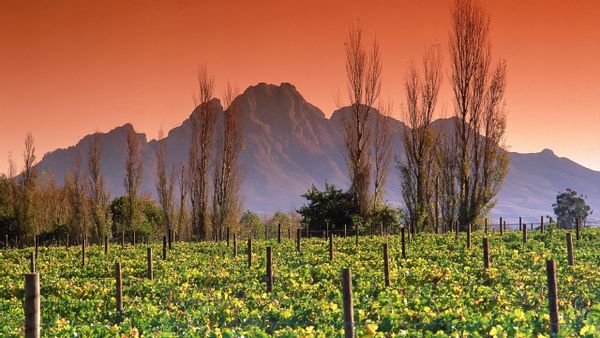 Huis in Stellenbosch