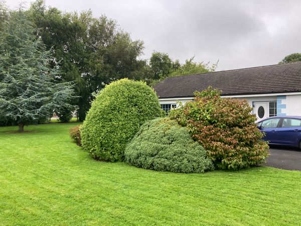 Helen and John's house in Tipperary