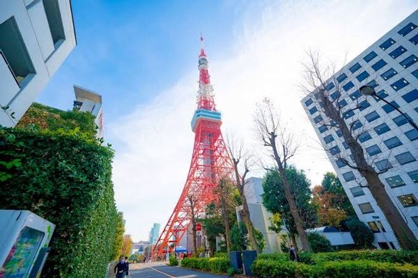 Experience Tokyo: The Heart of the City Awaits! No children!