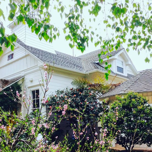 Vintage Schoolhouse Estate