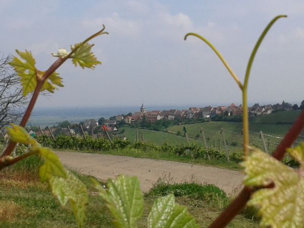 La maison atypique de Sophie et Raphaël