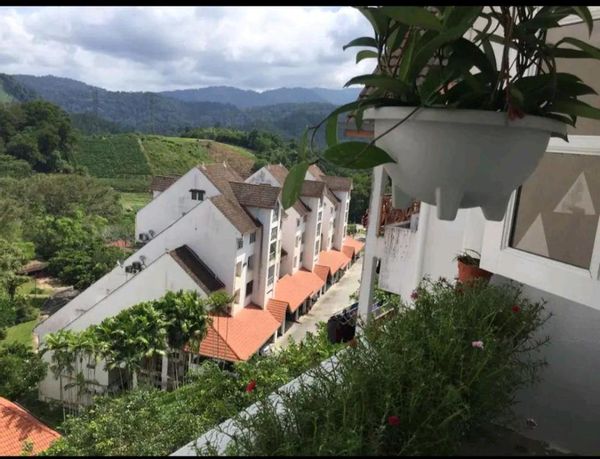 Zuhause in Kampung Bukit Tinggi