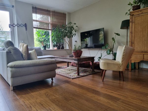 Denise's house