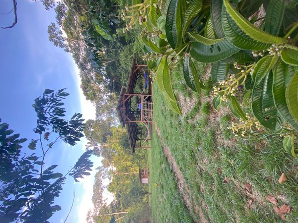 La maison Green Heart