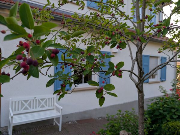 Rainers und Sandras Haus