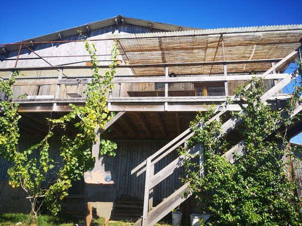 Dans notre coin de paradis