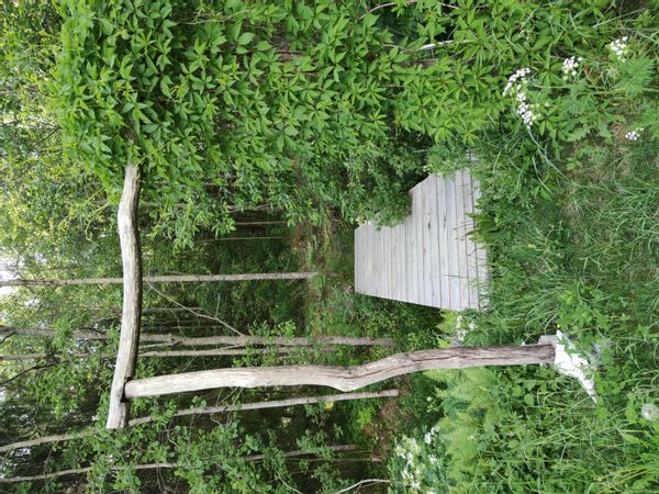 Grazia and Marks hus