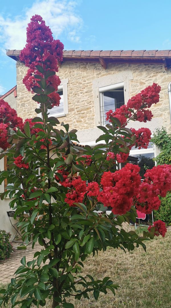 Matthieu's house