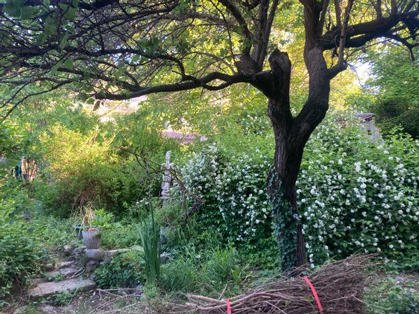 La maison de Philippe