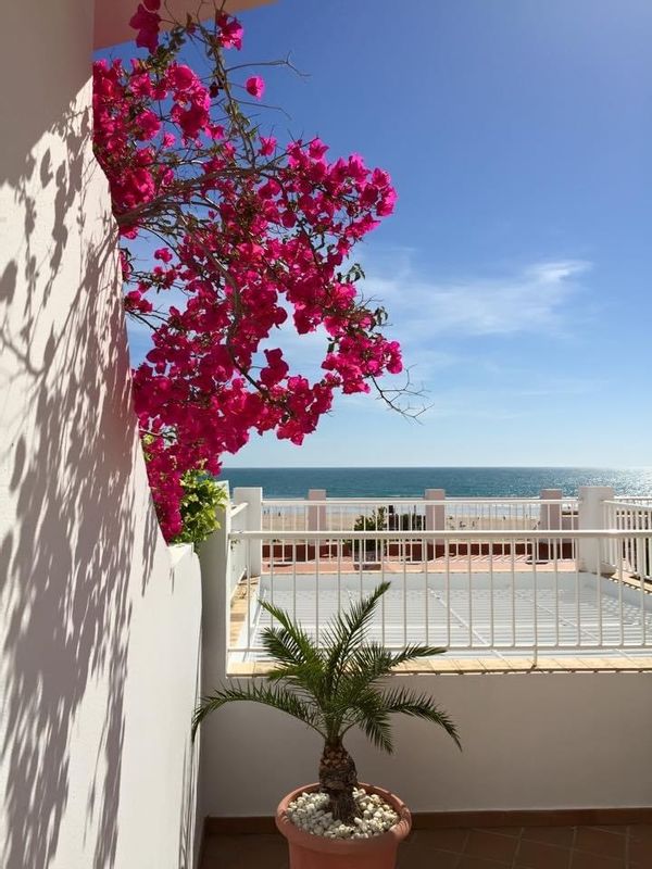 Huis in Conil De La Frontera