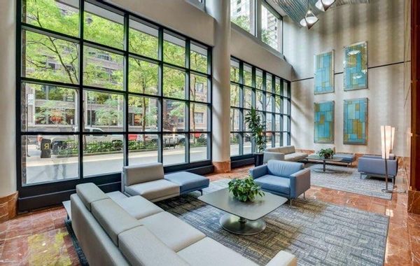Apartment in the Heart of Downtown Chicago - with cute cat!