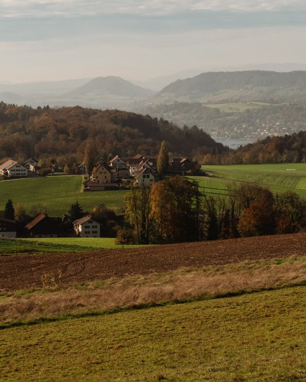 Brendas hus
