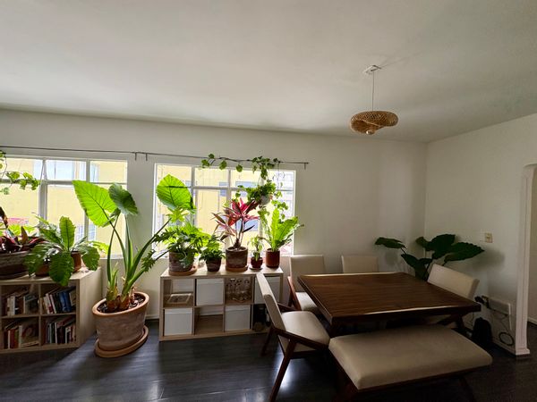 Lucas s Haus