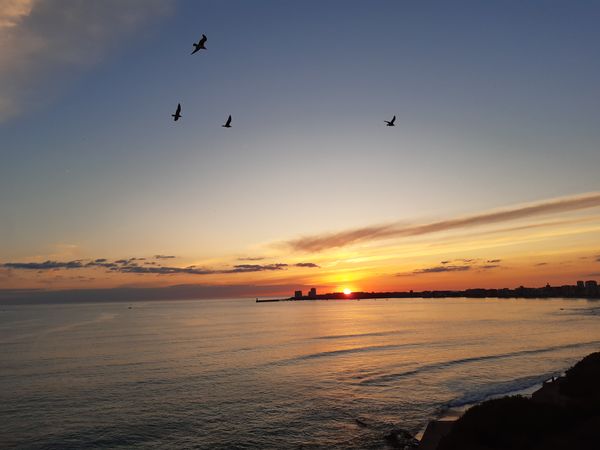 Home in Les Sables-D'olonne