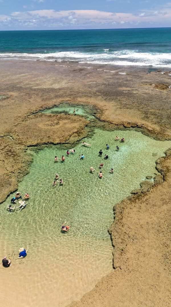 Ricardo Wandersons hus