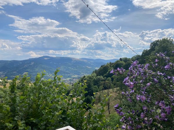 L'écrin de verdure et son panorama