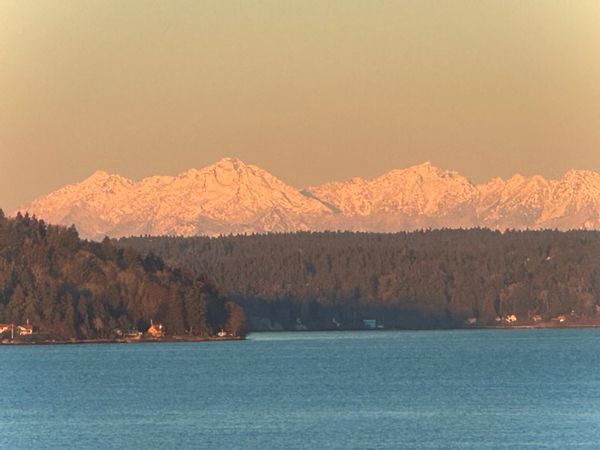 Olympic’s view escape in Seattle