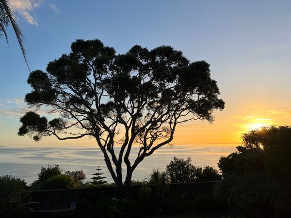 Michelle's house -Clifftop beautiful views and home