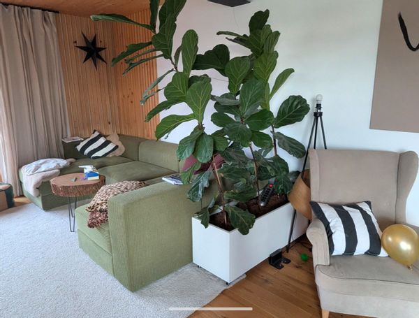 Familienhaus mit großem Garten