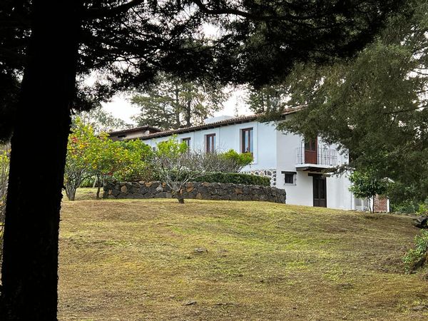 Agustín Máximo's house