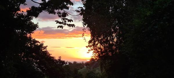 Le paradis de Jocoma