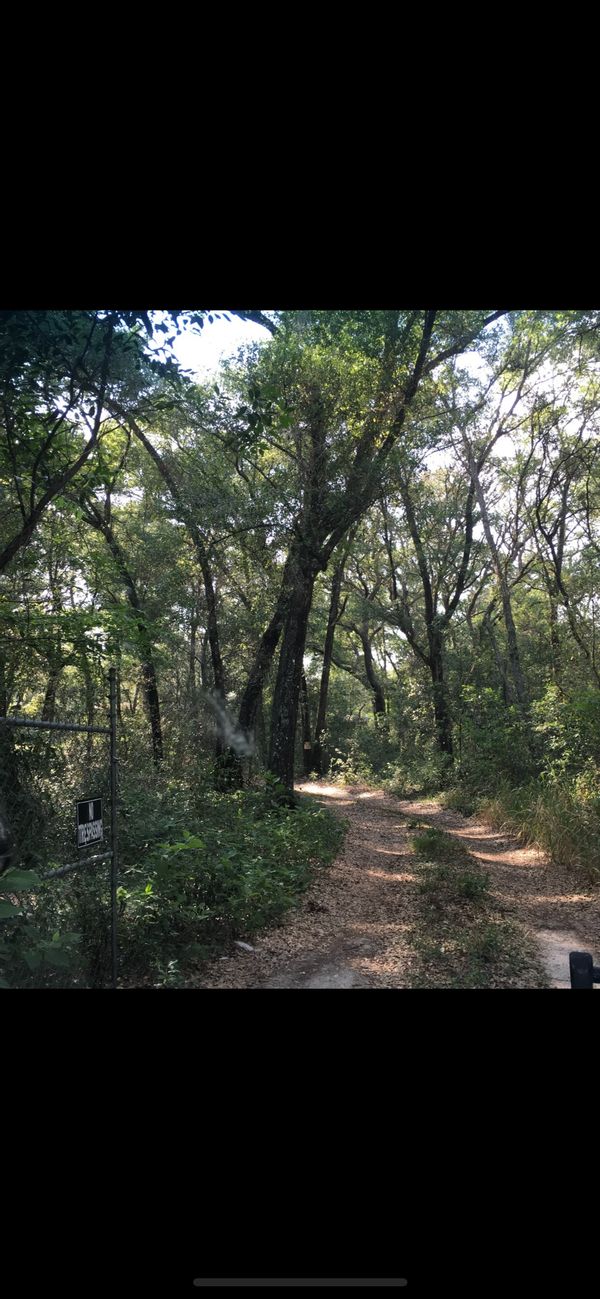 La maison de Salvatore