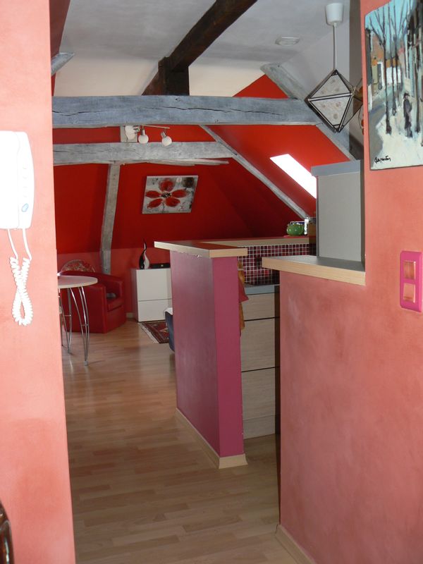 Appartement atypique Centre-ville