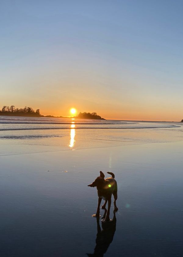 Hjem i Tofino