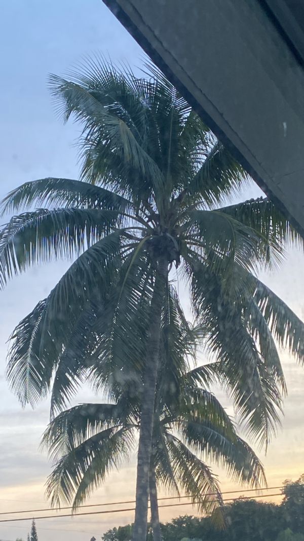 La maison de Freddamac