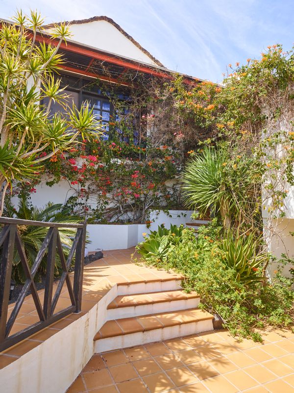 House D - Finca with ocean view