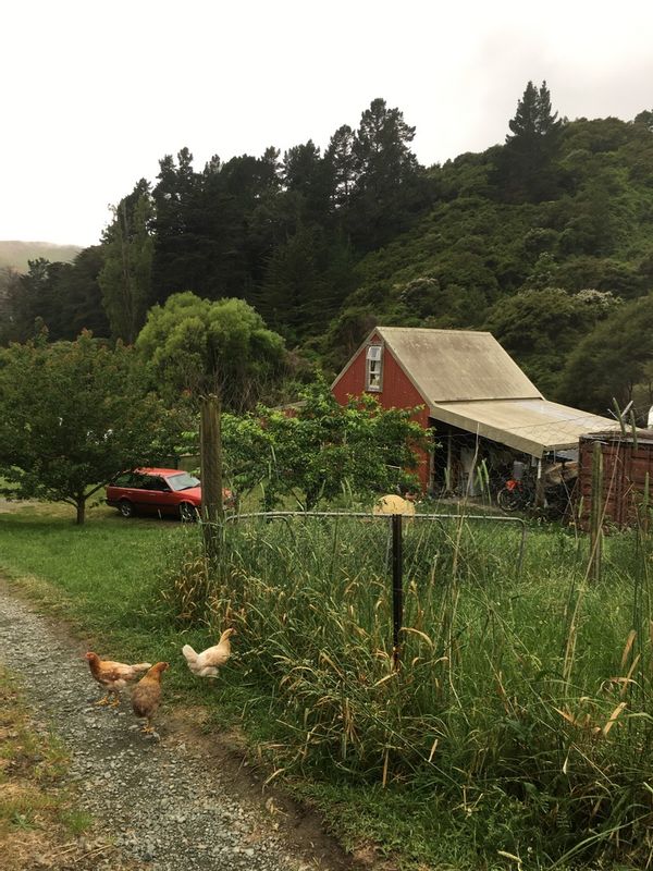 Huis in Wakapuaka