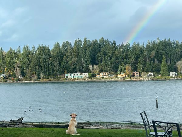 Casa em Bainbridge Island