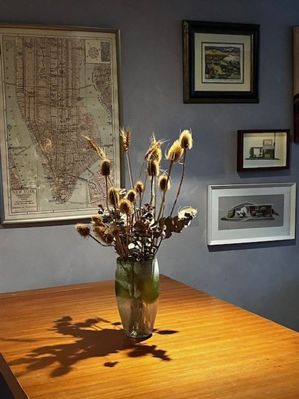 Sydney Apartment close to city, transport and beaches